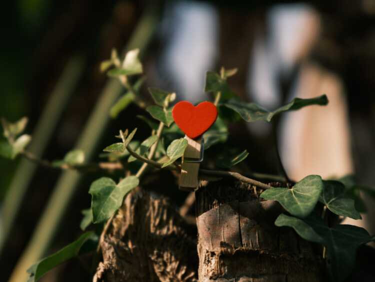 a red heart shaped object sitting on top of a tree stump
