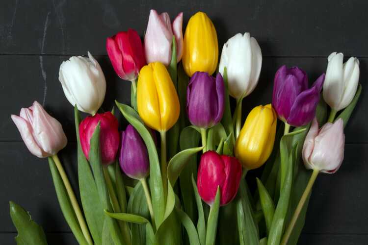 a bunch of colorful tulips in a vase